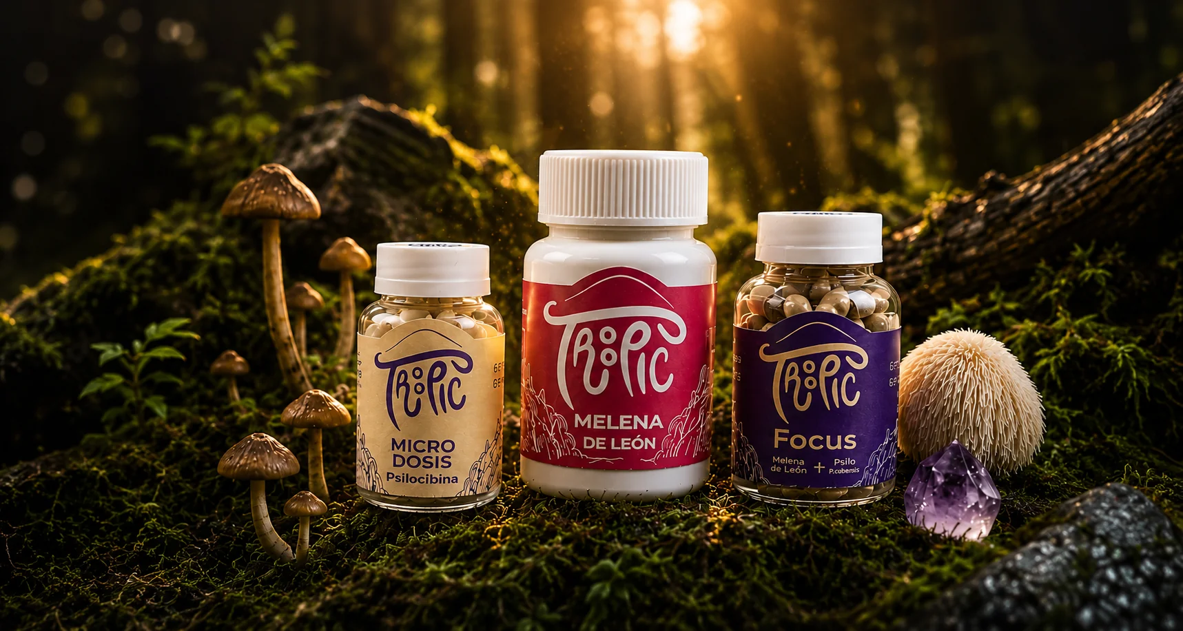 Las tres fórmulas Troopic: Melena de León, Microdosis y Focus, en el bosque
